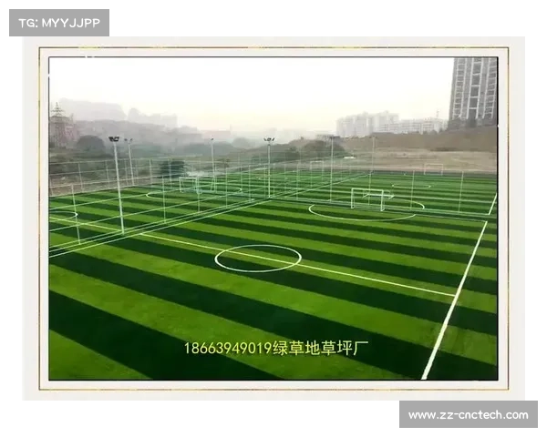 草地赛场的特点